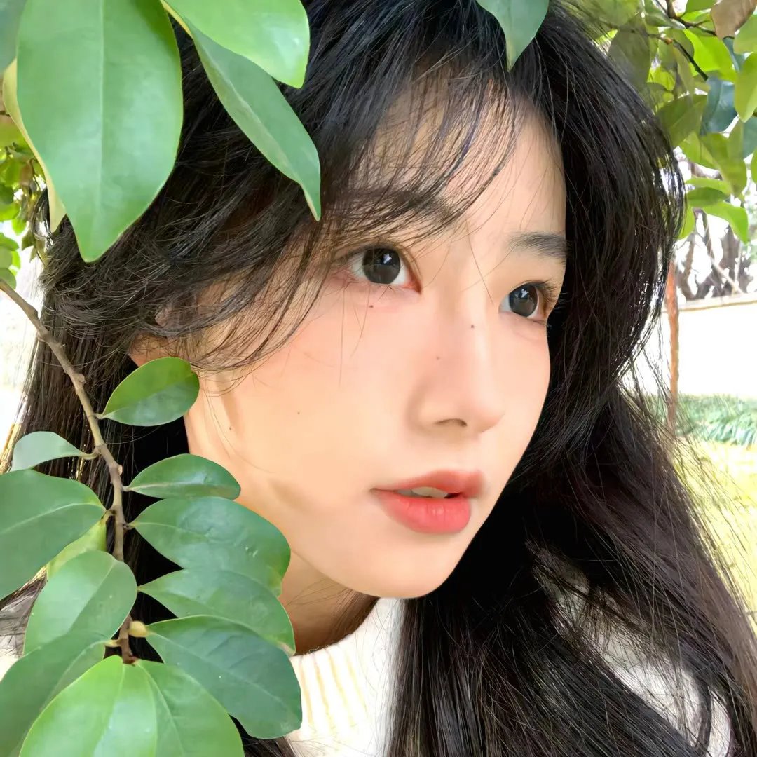 棋魂之当代无双